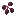 elderberryitem