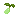 greengrapeseeditem