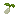 kenafseeditem