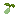 kohlrabiseeditem