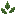 nettlesitem
