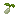 parsnipseeditem