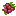raspberryitem