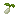 sesameseedsseeditem