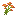 orange_coneflower