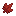 red_maple_leaf_pile