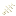 Fish Bone